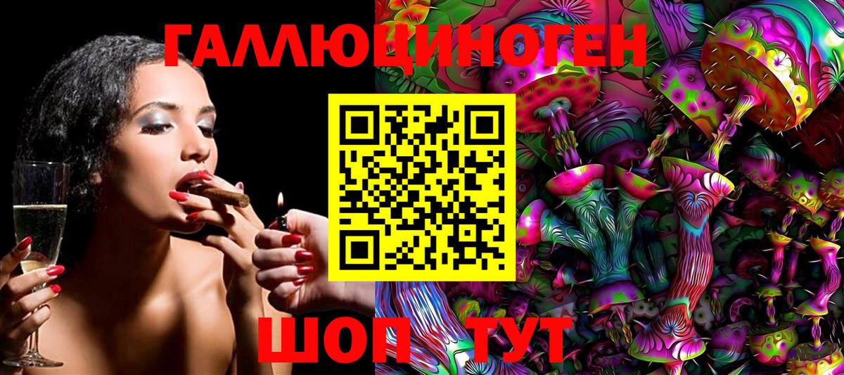 Псилоцибиновые грибы Psilocybine cubensis Кирово-Чепецк