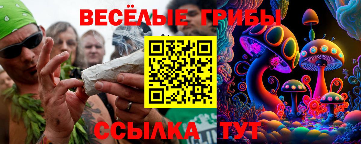 Кирово-Чепецк  Псилоцибиновые грибы MAGIC MUSHROOMS  Галлюциногенные грибы прущие грибы  Вход с VPN 